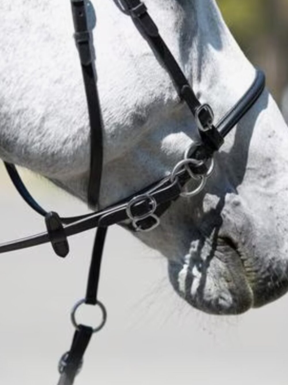 Horze bitless bridle: Black horse size. Like new. - Picture 3 of 7